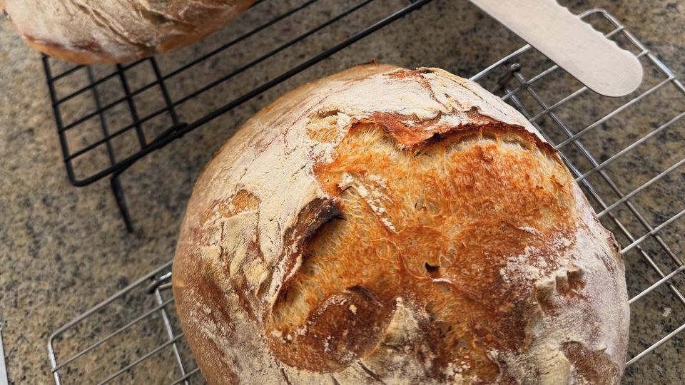 Floured sourdough boules cooling on wire racks