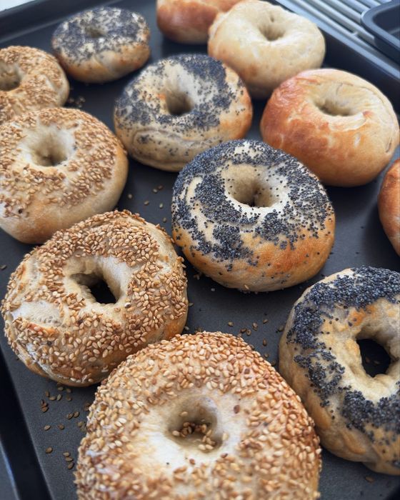 Sesame, poppy and plain sourdough bagels on a baking tray