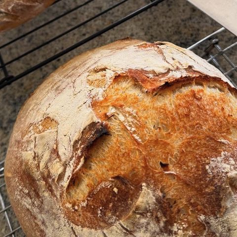 Floured sourdough boule on a cooling rack